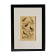 Original ornithological plate " Savacou - Spatula - &c... " Buffon (1837)