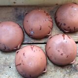 5 plates hollow or glazed earthenware dishes