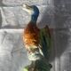 Saint Clément barbotine green duck jug
