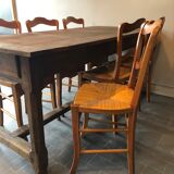 6 old chairs in cherry tree