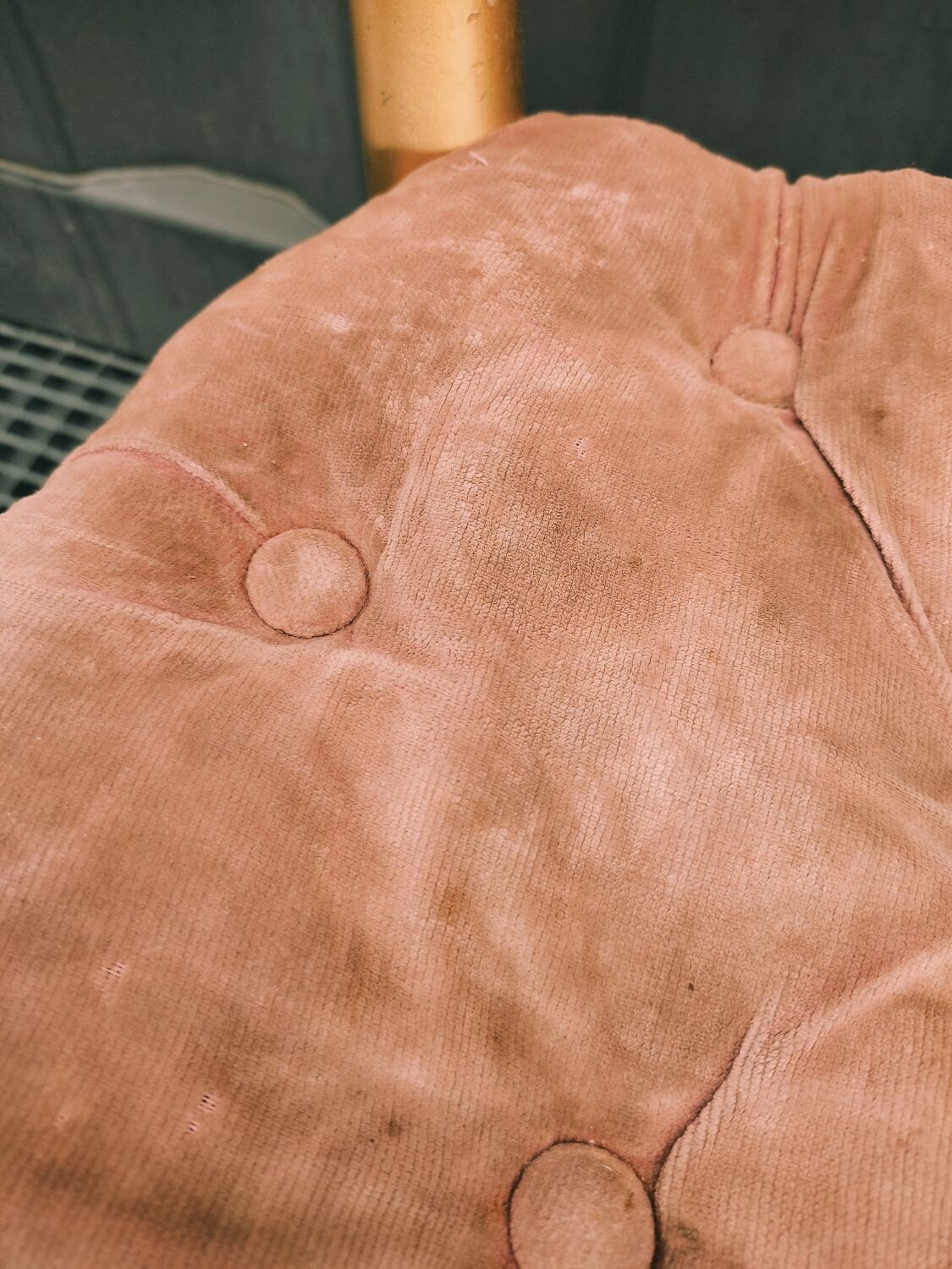 Chiavari chair in gilded wood