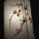 Vintage 1970s owl lamp, painted plaster, lampshade herbarium.