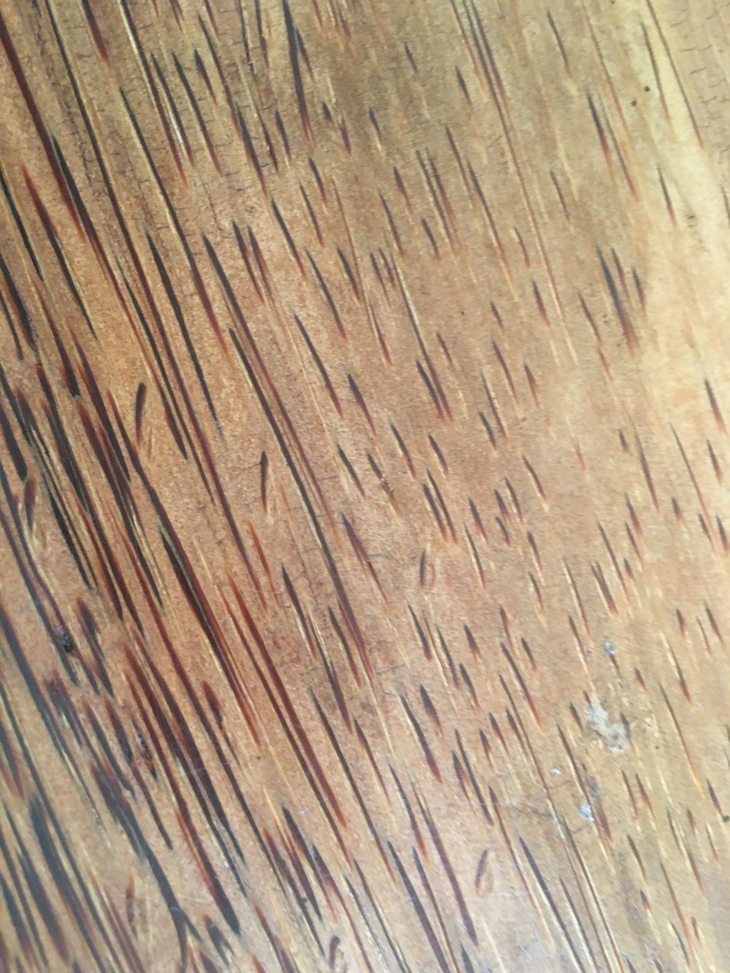 Wooden presentation dish coconut tree