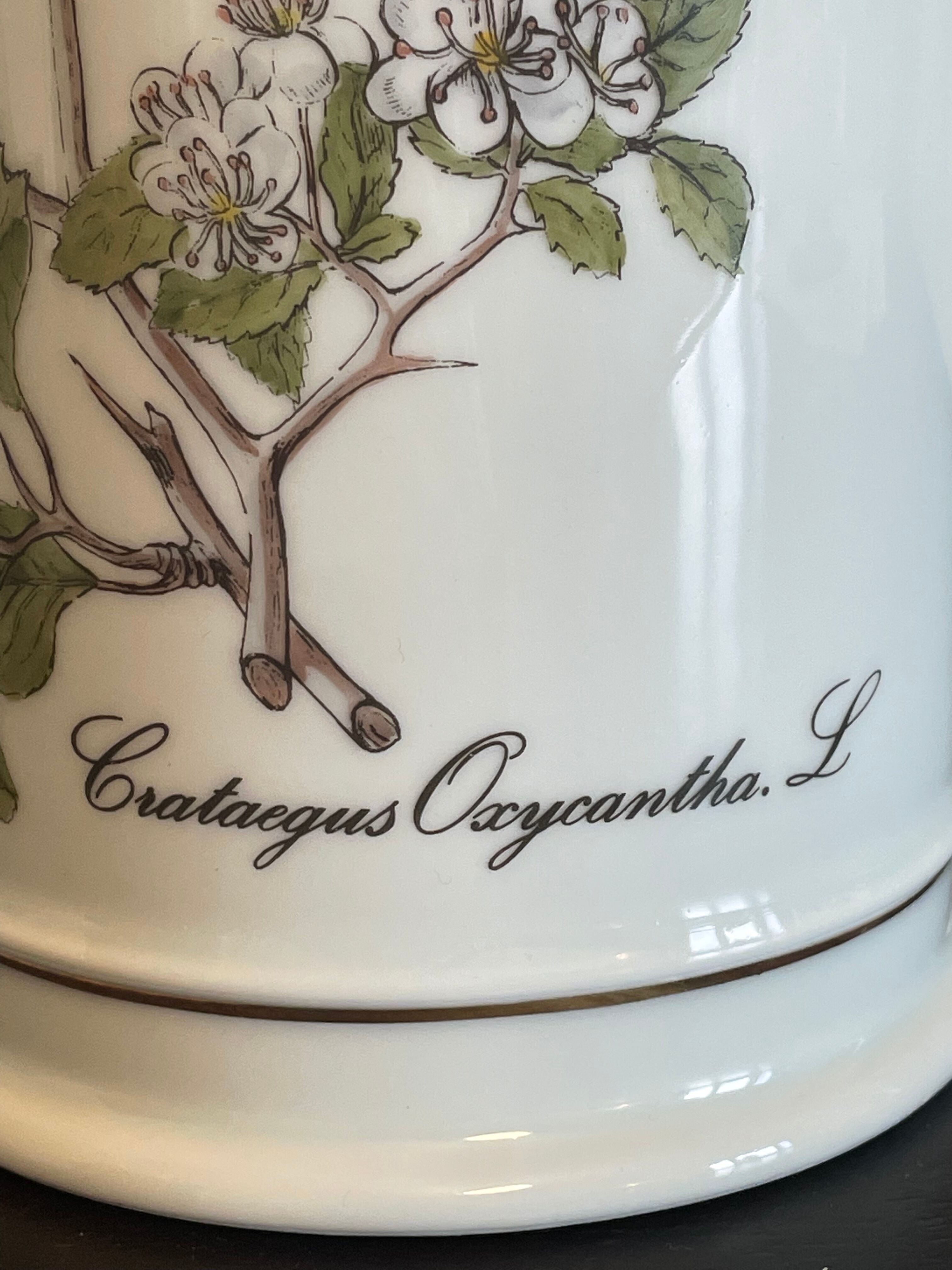 Langenthal pharmacy pot