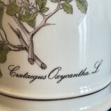 Langenthal pharmacy pot