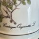 Langenthal pharmacy pot
