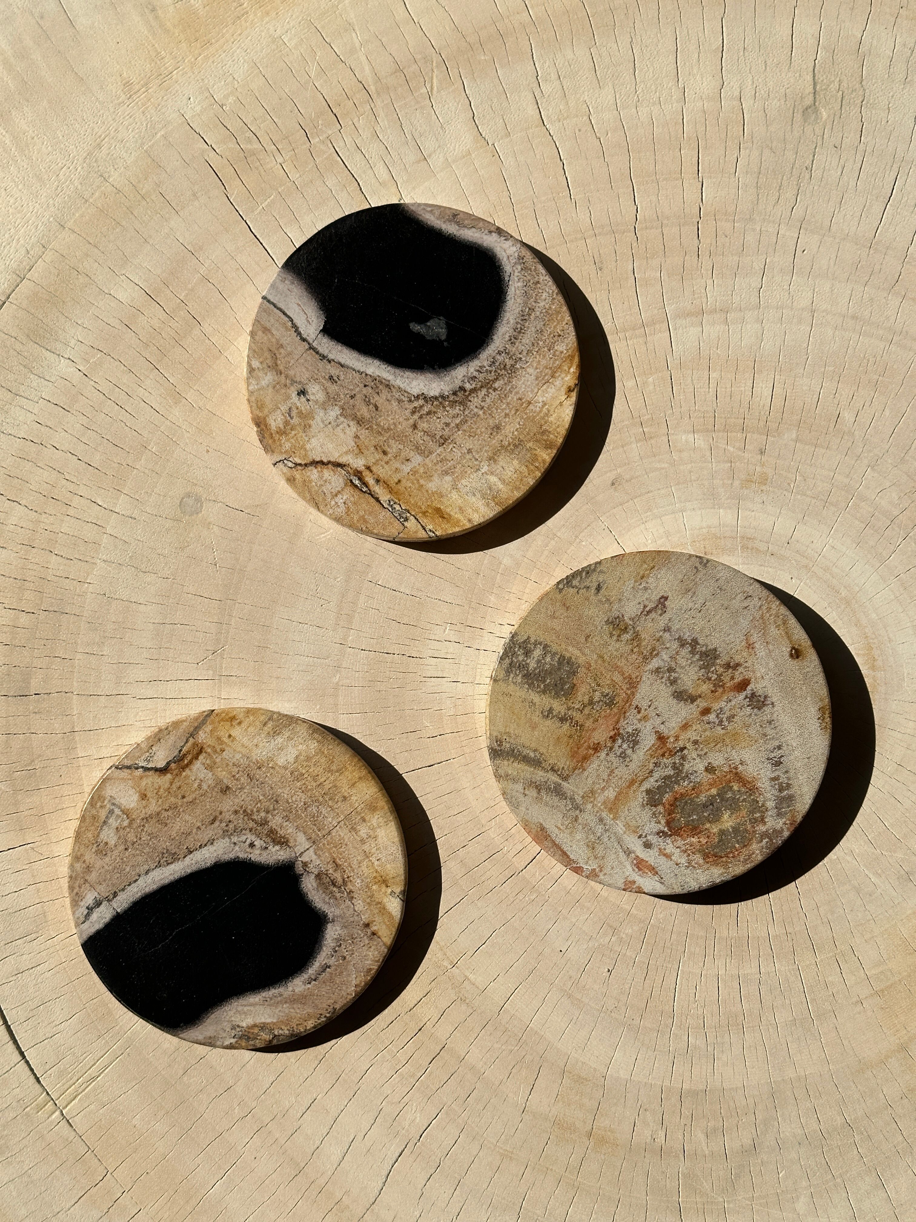 Set of 3 fossilized wooden coasters (clear)