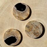 Set of 3 fossilized wooden coasters (clear)
