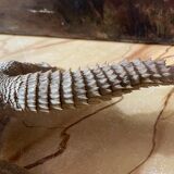 Ancient naturalized lizard