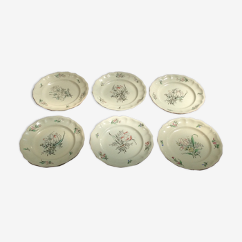 Lot de 6 anciennes assiettes plat Lunéville modèle China en faïence dimension : D-24cm- hauteur -2,5