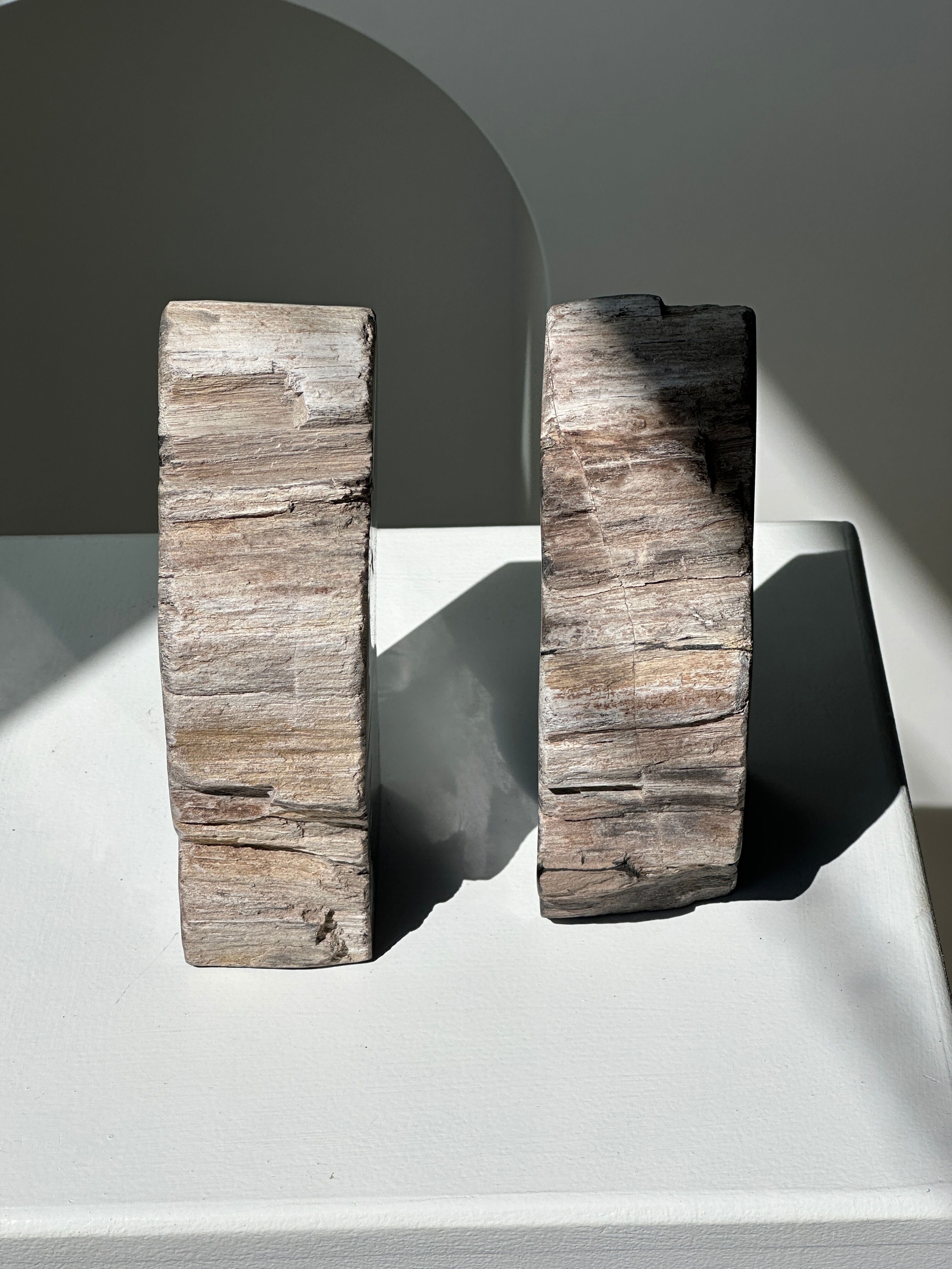 Black petrified wood bookend H17 L17 P6