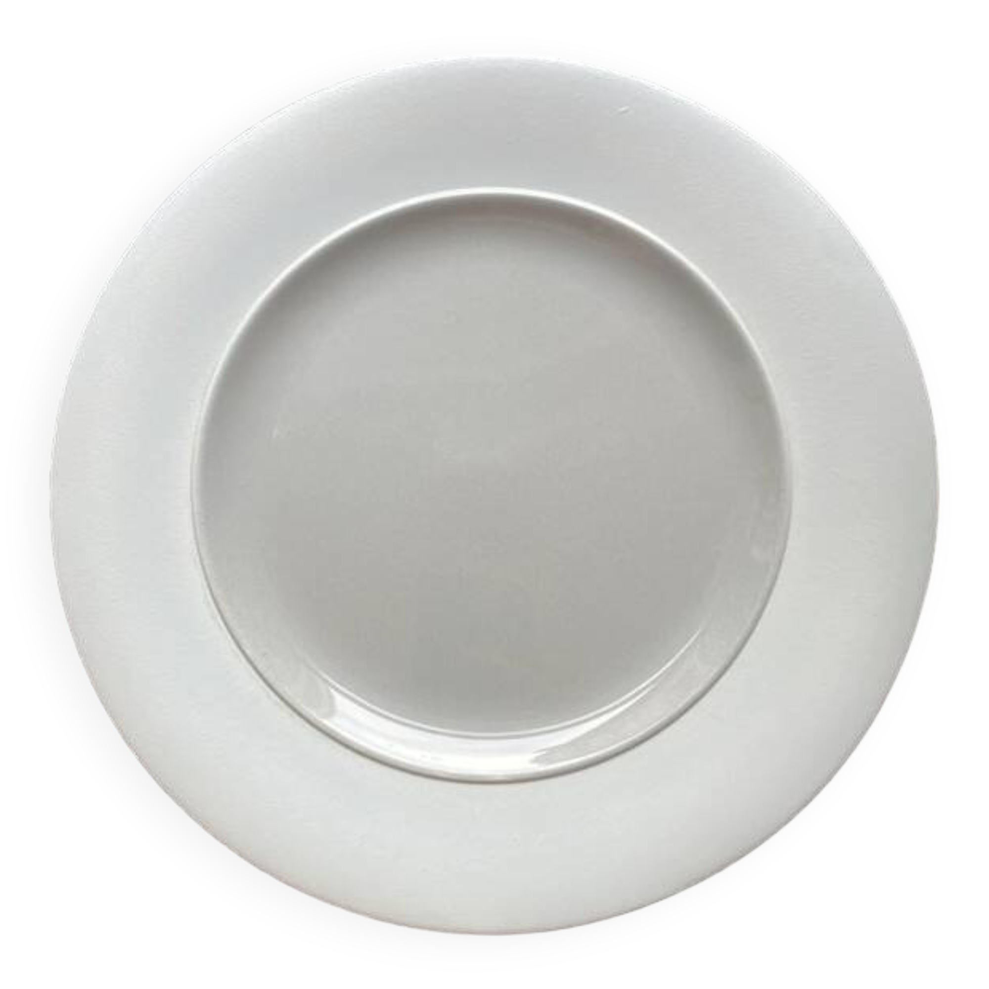 25.5 cm Salins les Bains Vintage Plate - 12 available