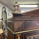 Louis XVI style display case
