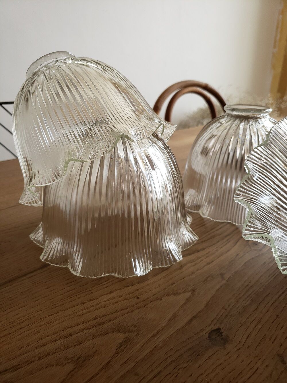 Tulipe vintage