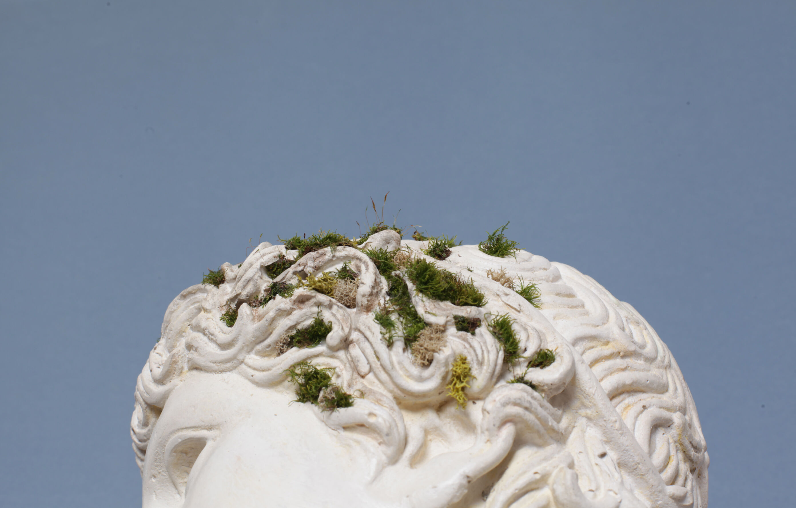Roman head in waxed plaster