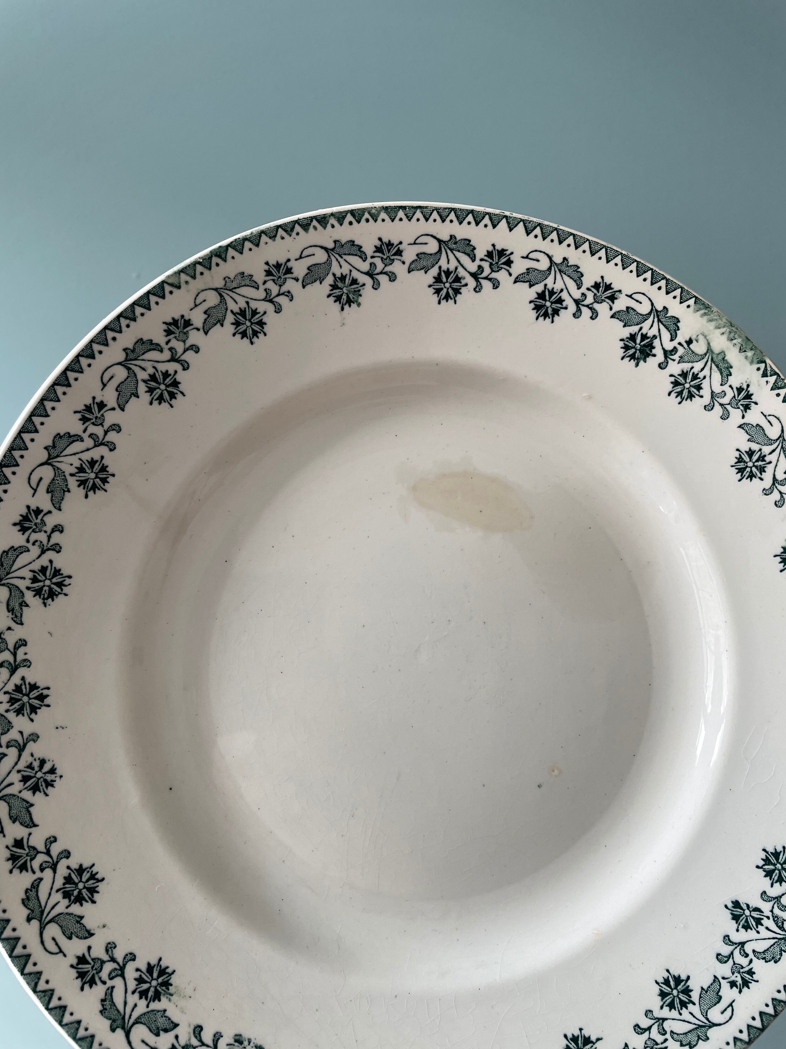 Set of 9 flat plates georgette Moulin des Loups & Hamage collection