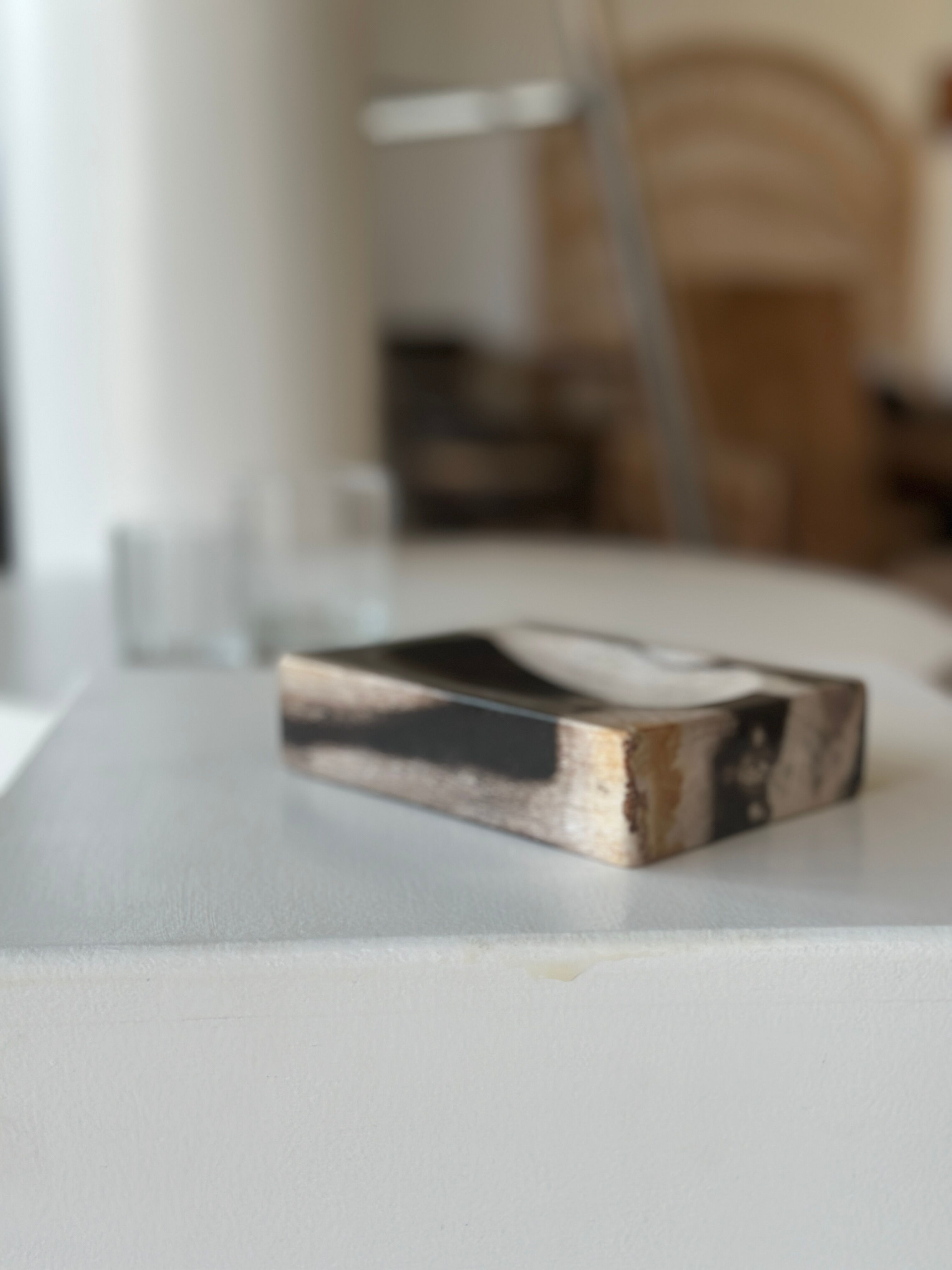 Symmetrical multicolored petrified wood soap dish