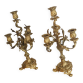 Pair of gilded bronze candelabra – Louis XV style – 19th century