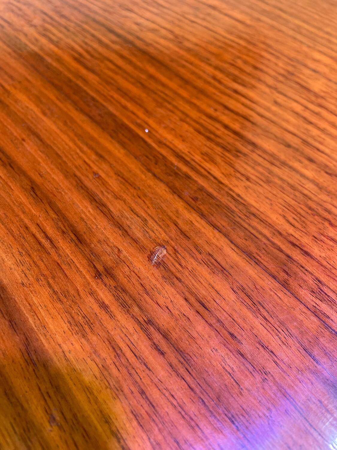 Bow Wood Pedestal Table by Steiner