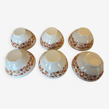 Arcopal scania bowls x 6