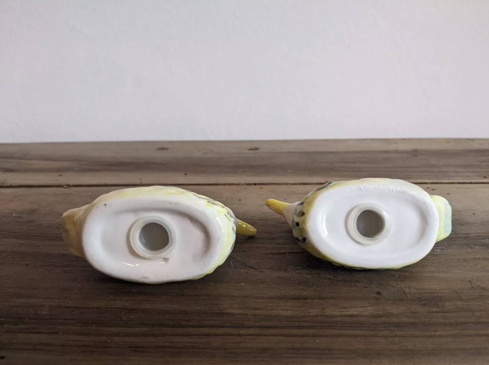 Duck salt and pepper shakers