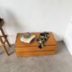 Brutalist wood shell sculpture box 1900