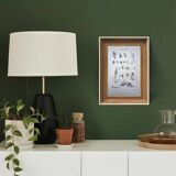 Imprimée en 1889, les scrophularinées. Planche botanique ancienne.