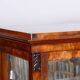 Biedermeier Display Cabinet in Walnut, 1830s