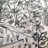 sketch