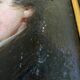 HSP painting "Romantic portrait" young man two-sided 19th century