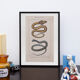 Lithography engraving vintage snakes - 1850