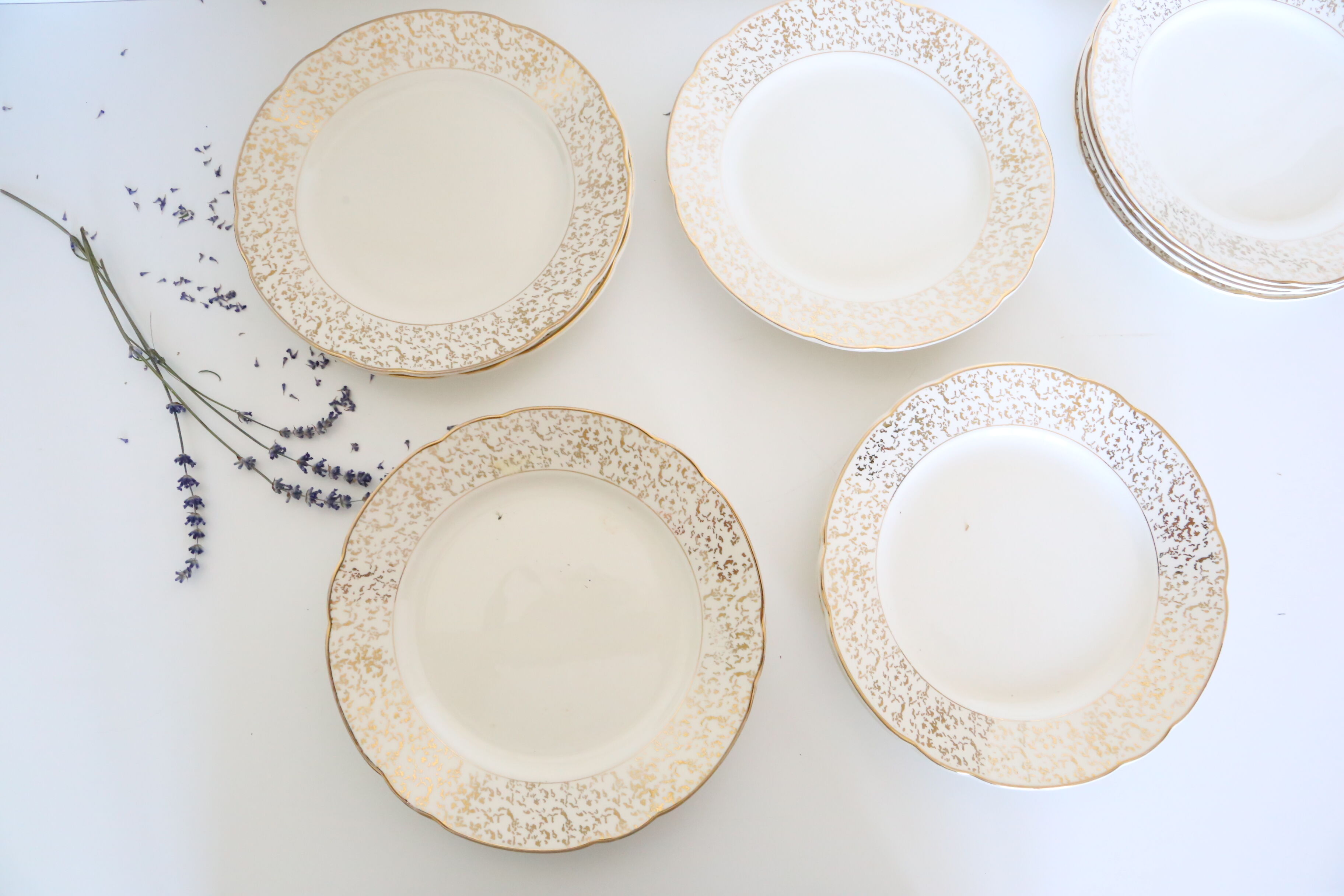 Villeroy and Boch flat plate service, batch of 12 plates, vintage, ceramic, white, gold, parties, vintage, chic