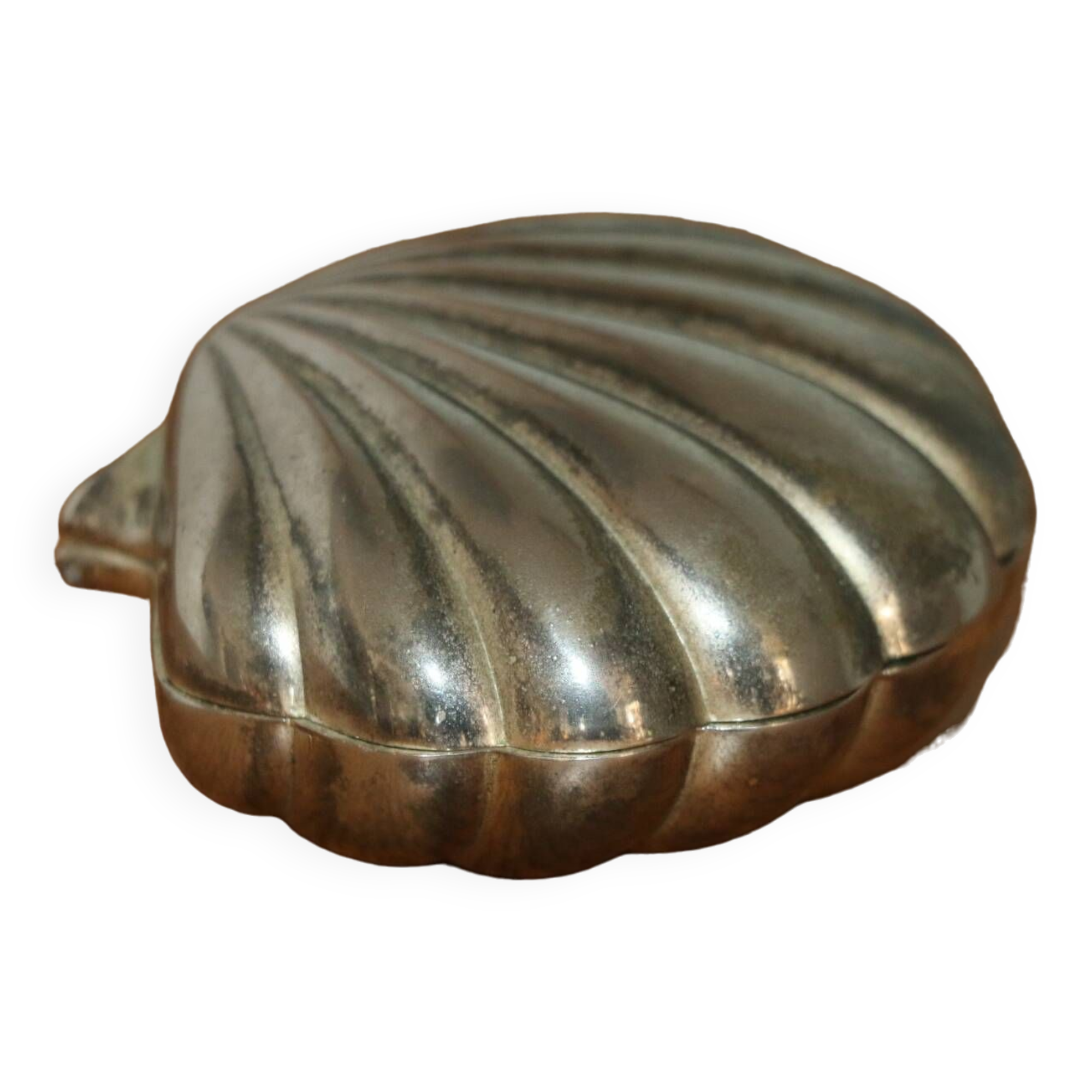 Pocket tray / scallop shell box