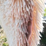 Beni Ouarain carpets 90x120cm