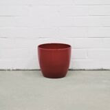 burgundy red flower pot