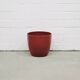 burgundy red flower pot