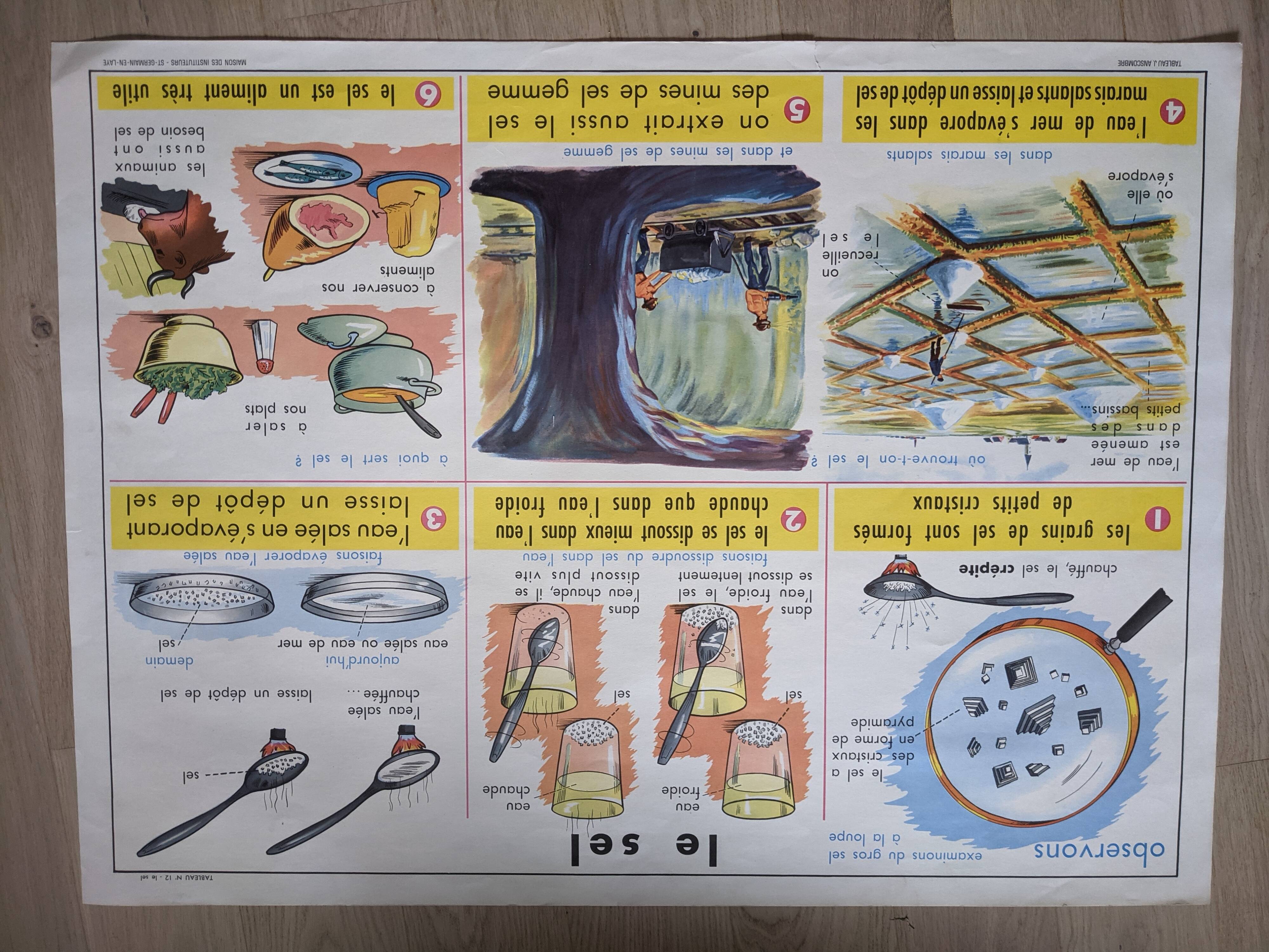 Old vintage school poster wheat flour bakery bread salt
