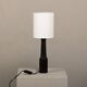 Scandinavian Rosewood Table Lamp, Denmark 1960s