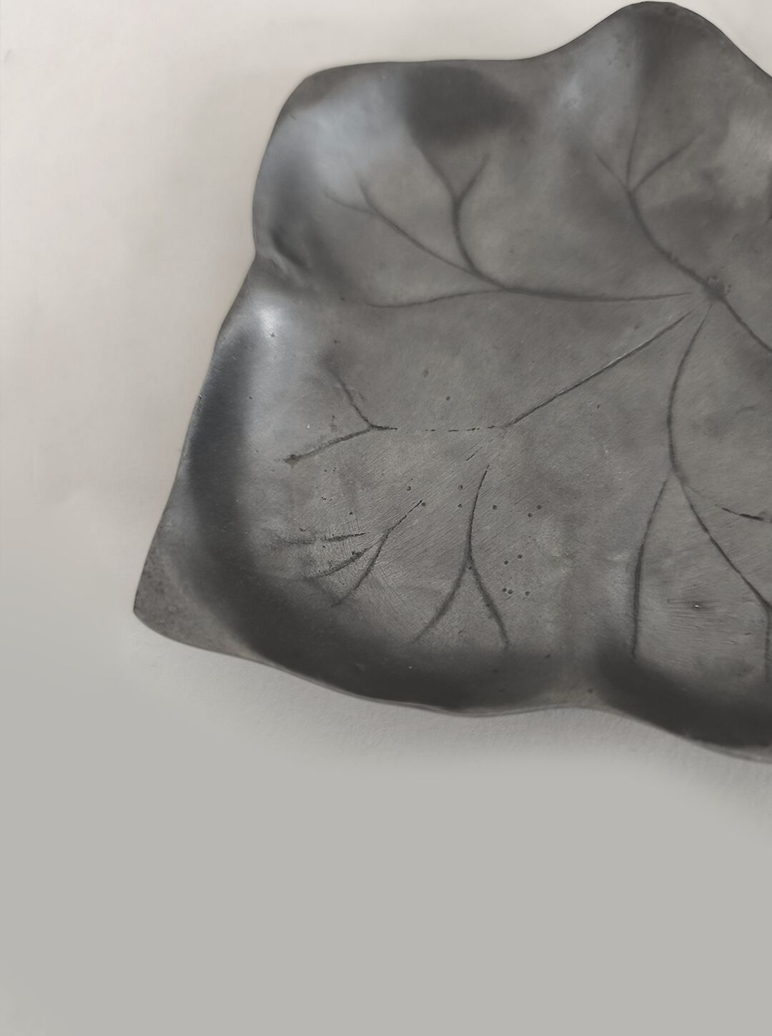 Leaf pocket tray