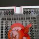 Cendrier ou vide-poche Hermès vintage années 80 Pivoine rouge made in France
