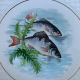 Service à poisson en Gien