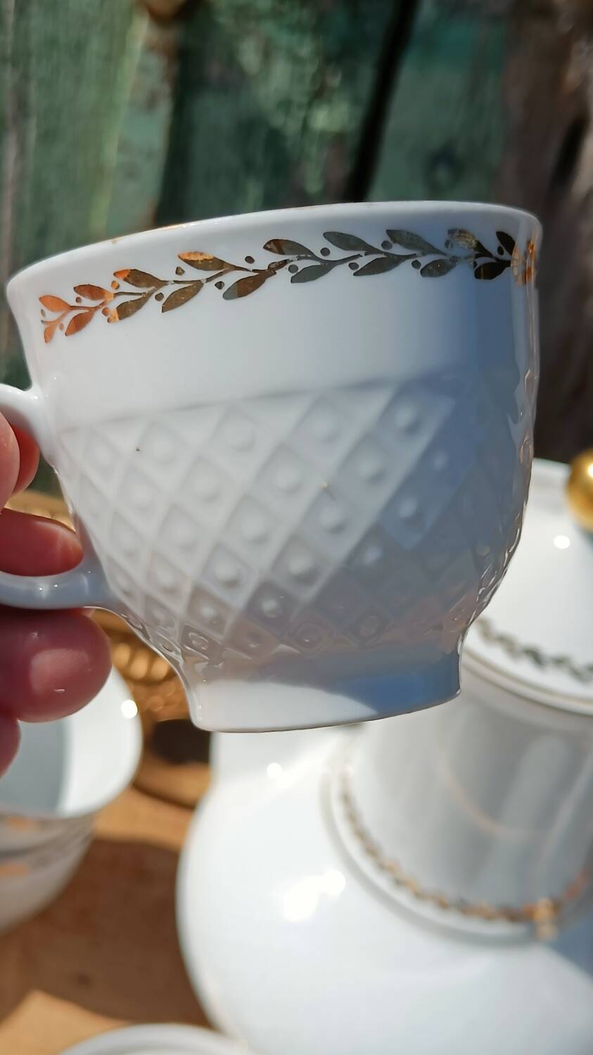 Vintage coffee service in porcelain Seltmann Weiden Bavaria –