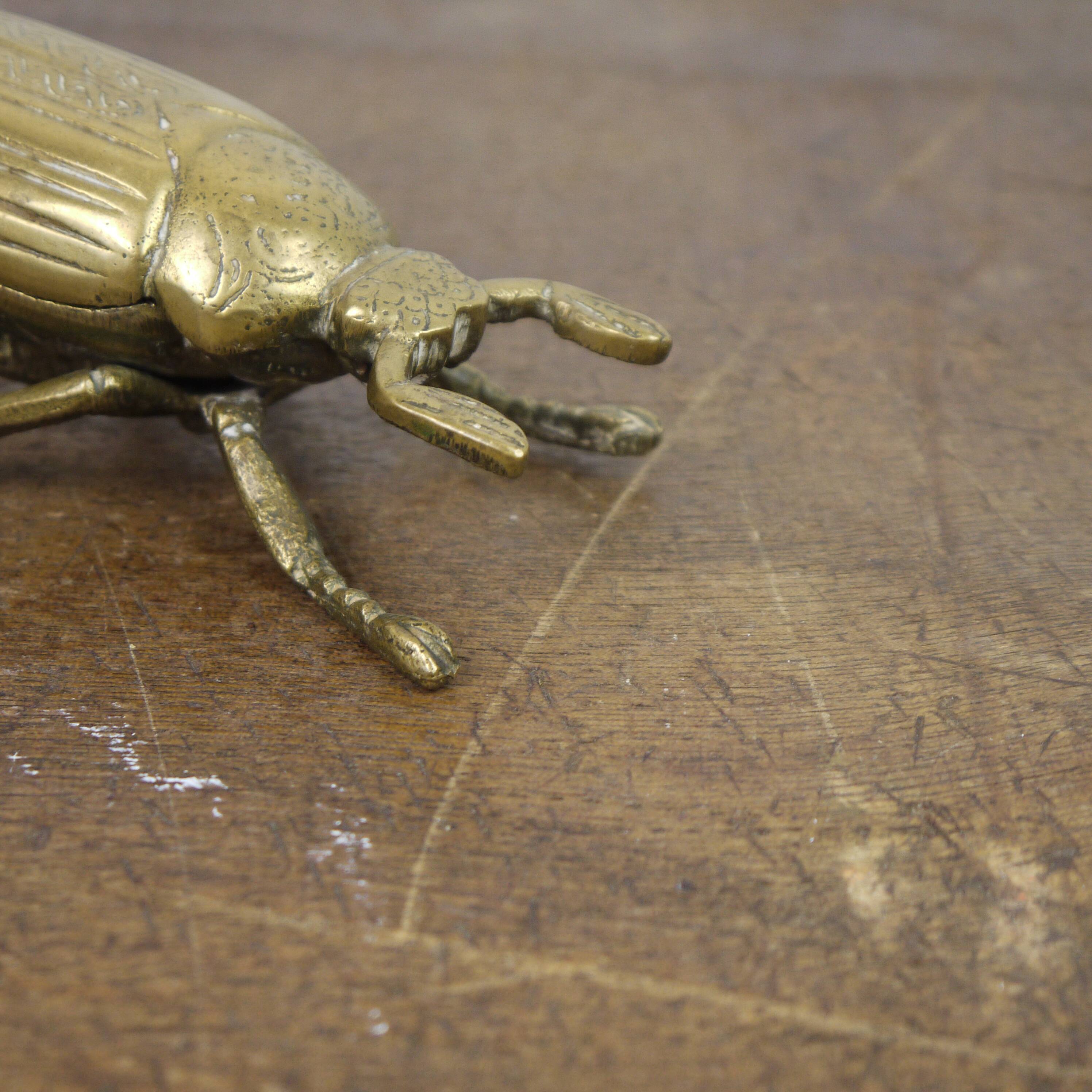 Brass beetle
