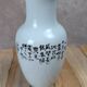 Asian vase decorated with peacock in porcelain