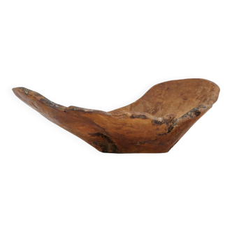 Organic Large Wooden Root Bowl, France, 1950s