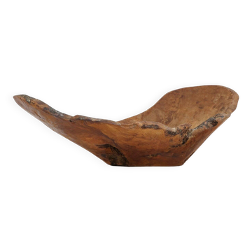 Organic Large Wooden Root Bowl, France, 1950s
