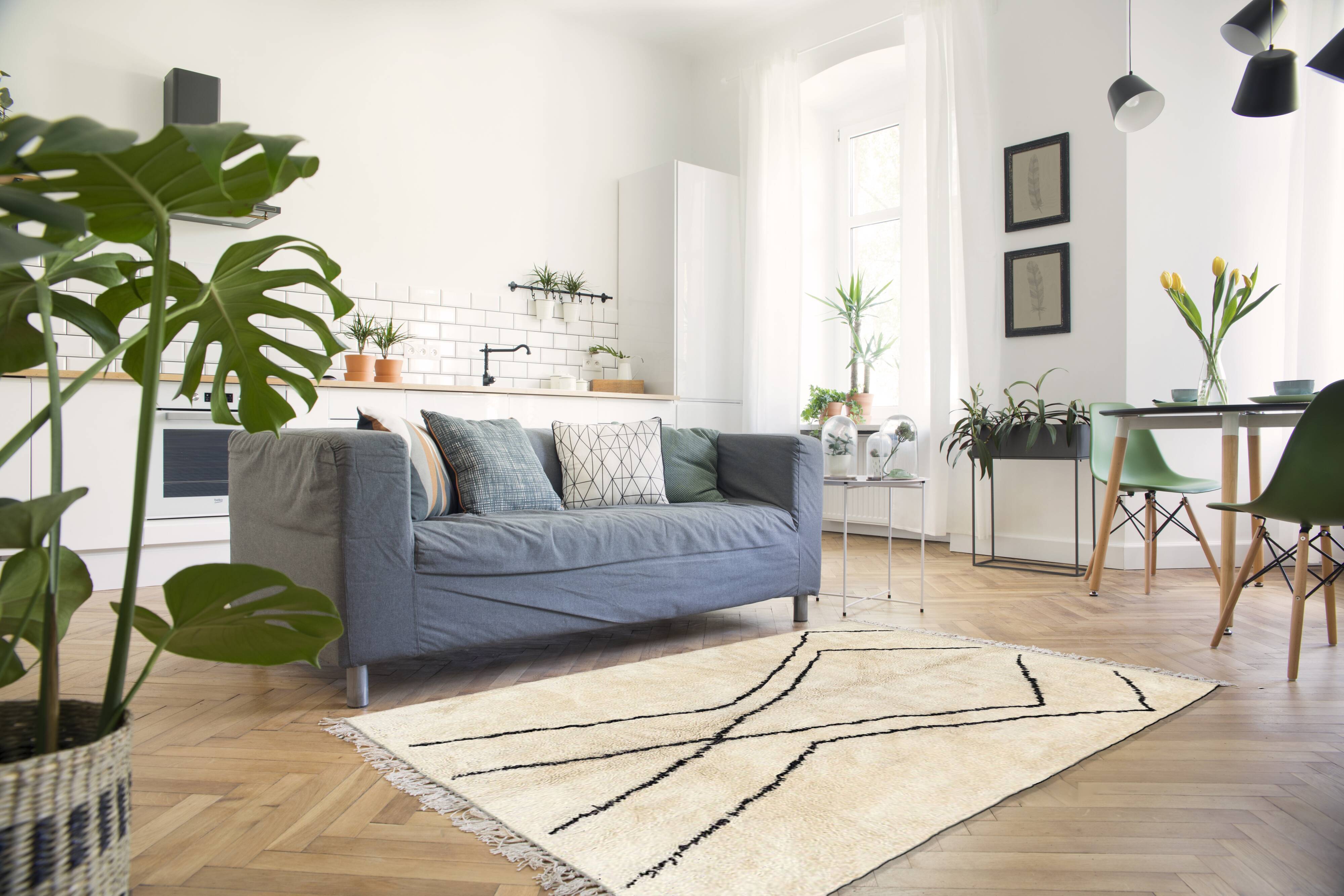 Modern Moroccan carpet white