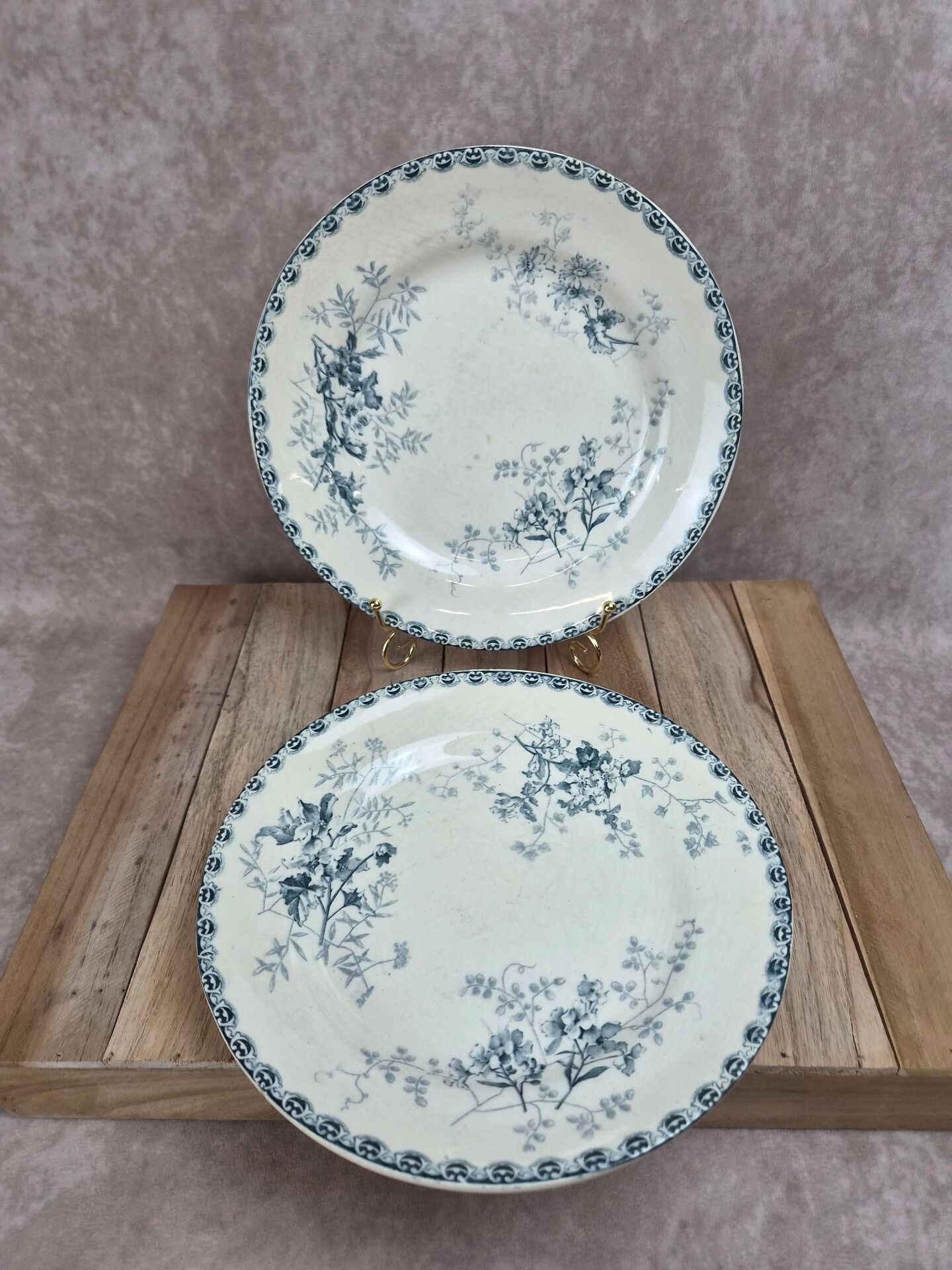 Set of 2 antique flat plates Terre de Fer – Hippolyte Boulenger & Cie – Roscoff model