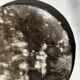 Dish in petrified wood