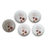 Set of 5 Sarreguemines dessert plates